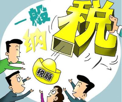 偷税漏税遭严查