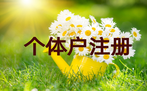 郑州注册个体户营业执照注册不上怎么办