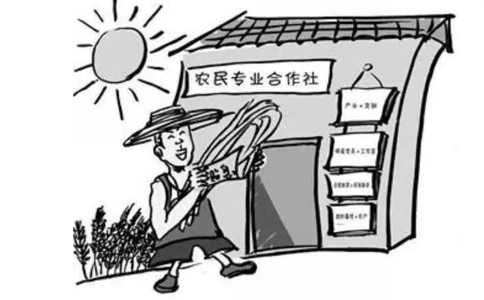 郑州农民专业合作社设立登记表格如何填写