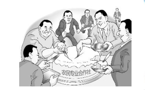 郑州农民专业合作社注册