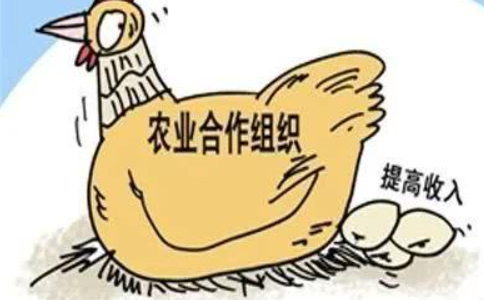 农业农村部关于加快发展农业社会化服务的指导意见