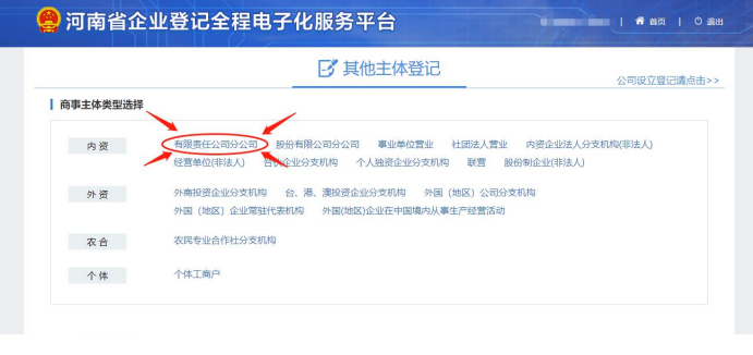 河南工商网上注册平台注册营业执照选择有限责任分公司注册